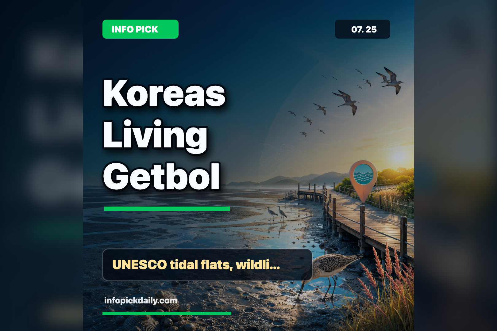 Why Korea’s Living Tidal Flats Belong on Your Next Nature Trip 썸네일